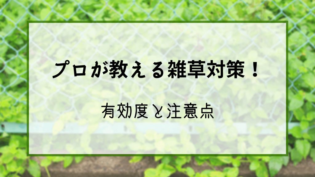 プロが教えるお庭の雑草対策 グリプラ