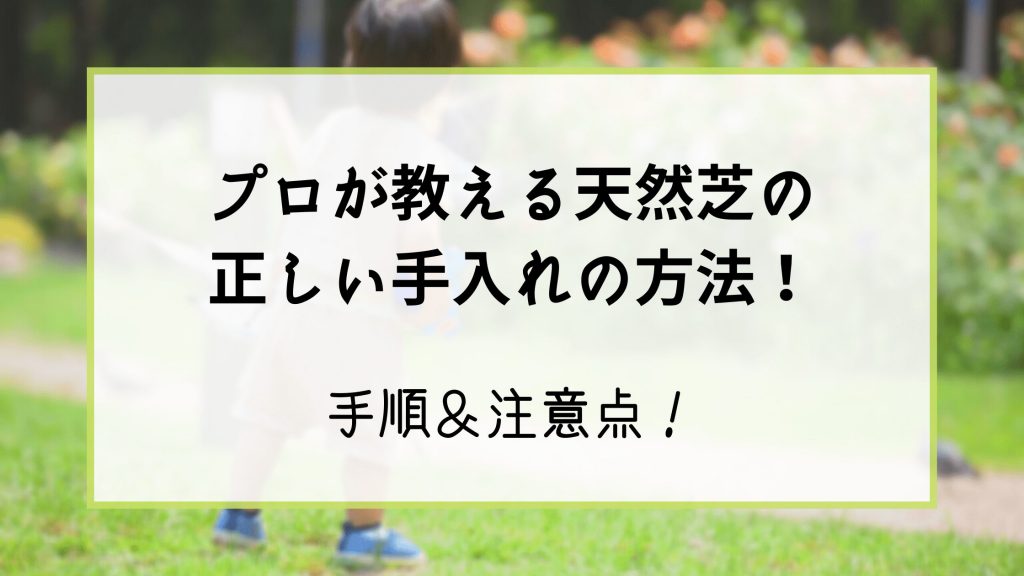 プロが教える天然芝の正しい手入れの方法 グリプラ プロが教える天然芝の正しい手入れの方法 グリプラ